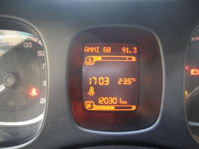 auto usate New Panda