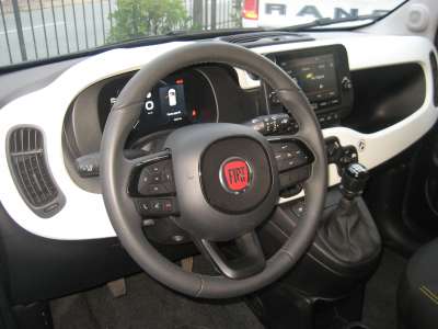 auto usate New Panda