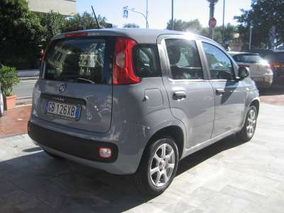 auto usate New Panda
