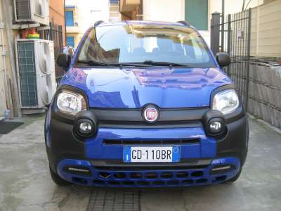 auto usate New Panda