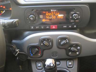 auto usate New Panda