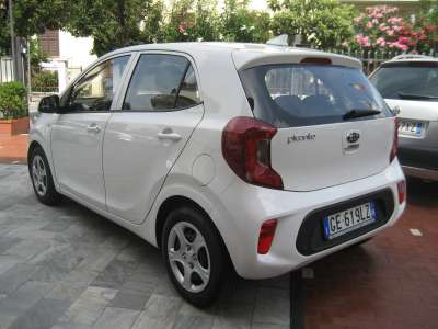 auto usate Picanto
