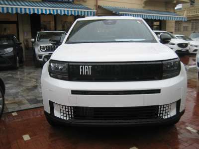 auto usate New Panda