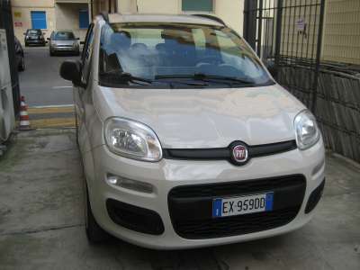 auto usate New Panda