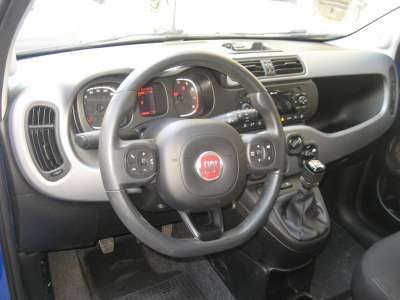 auto usate New Panda