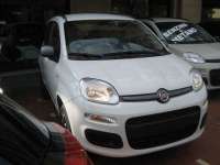 auto usate Fiat New Panda