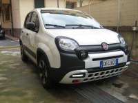 auto usate Fiat New Panda