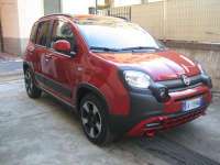 auto usate Fiat New Panda