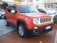 auto usate Jeep Renegade
