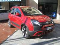 auto usate Fiat New Panda