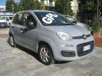 auto usate Fiat New Panda