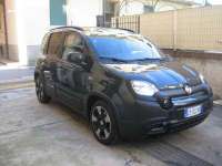 auto usate Fiat New Panda