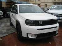 auto usate Fiat New Panda