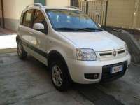 auto usate Fiat Panda